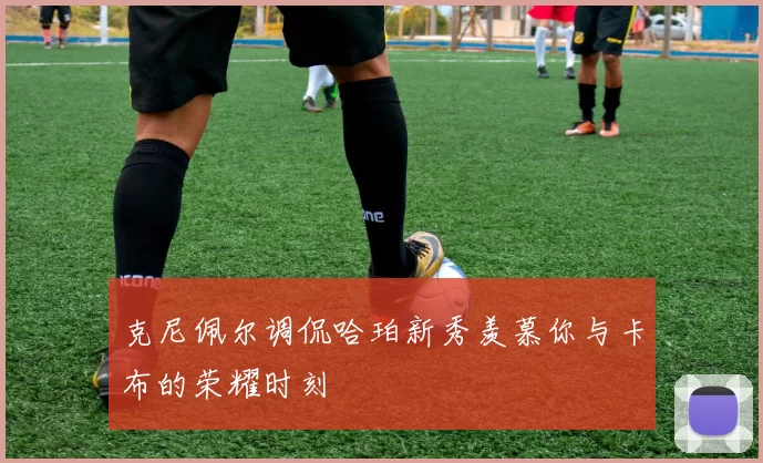 克尼佩尔调侃哈珀新秀羡慕你与卡布的荣耀时刻